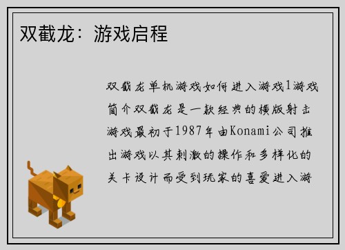 双截龙:游戏启程